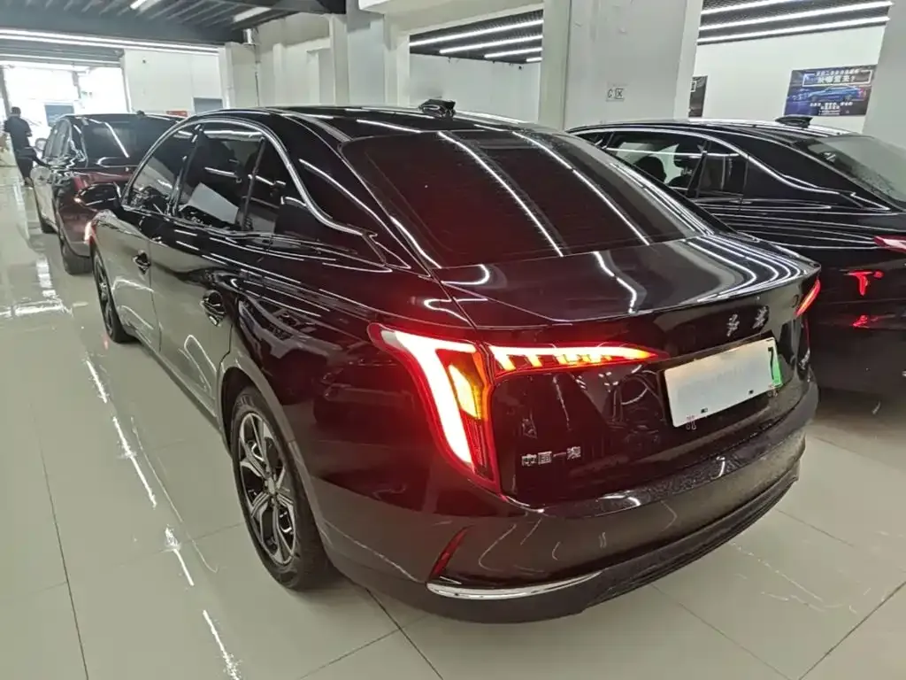 Hongqi E-QM5 — фото 5