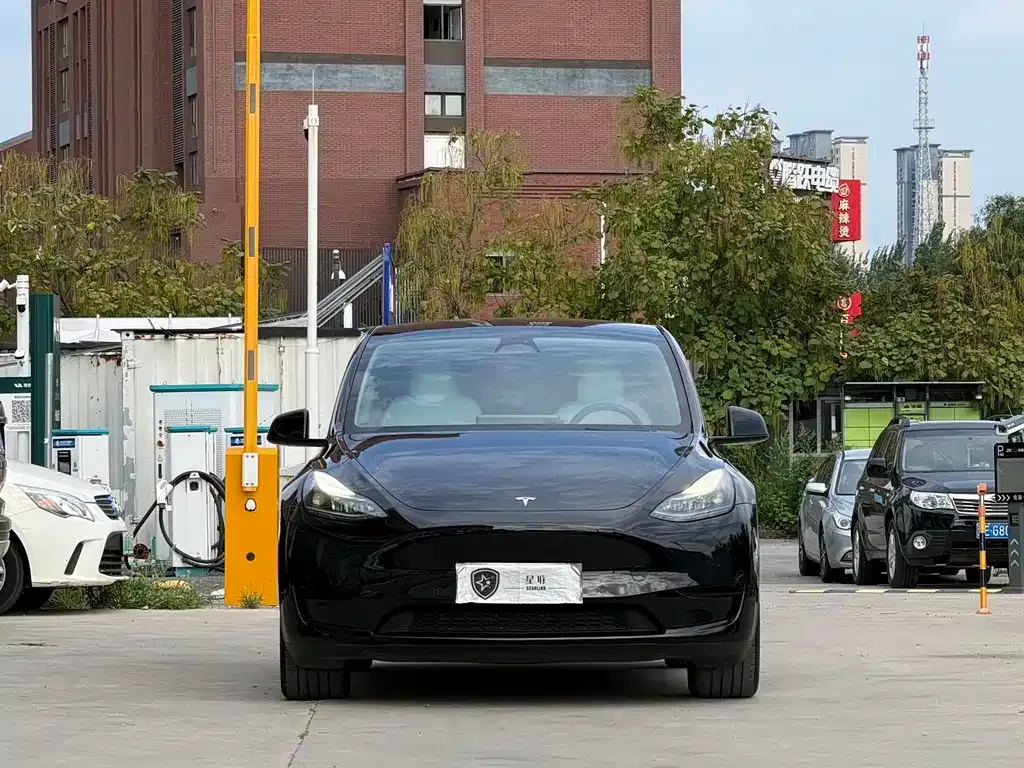 Tesla Model Y — фото 10