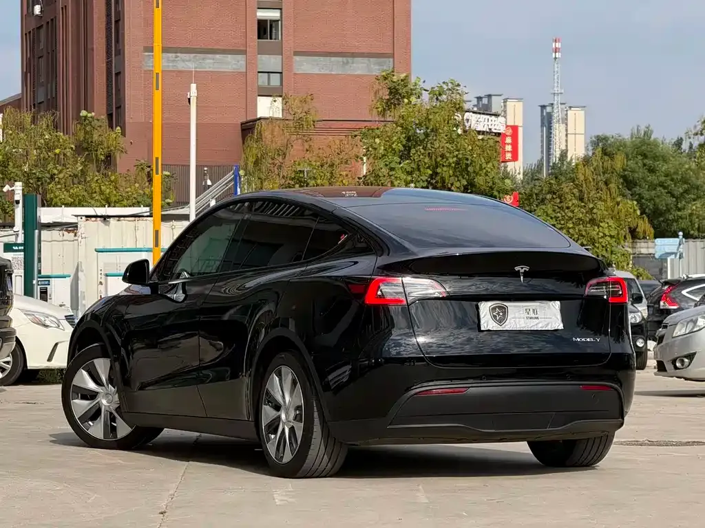Tesla Model Y — фото 9