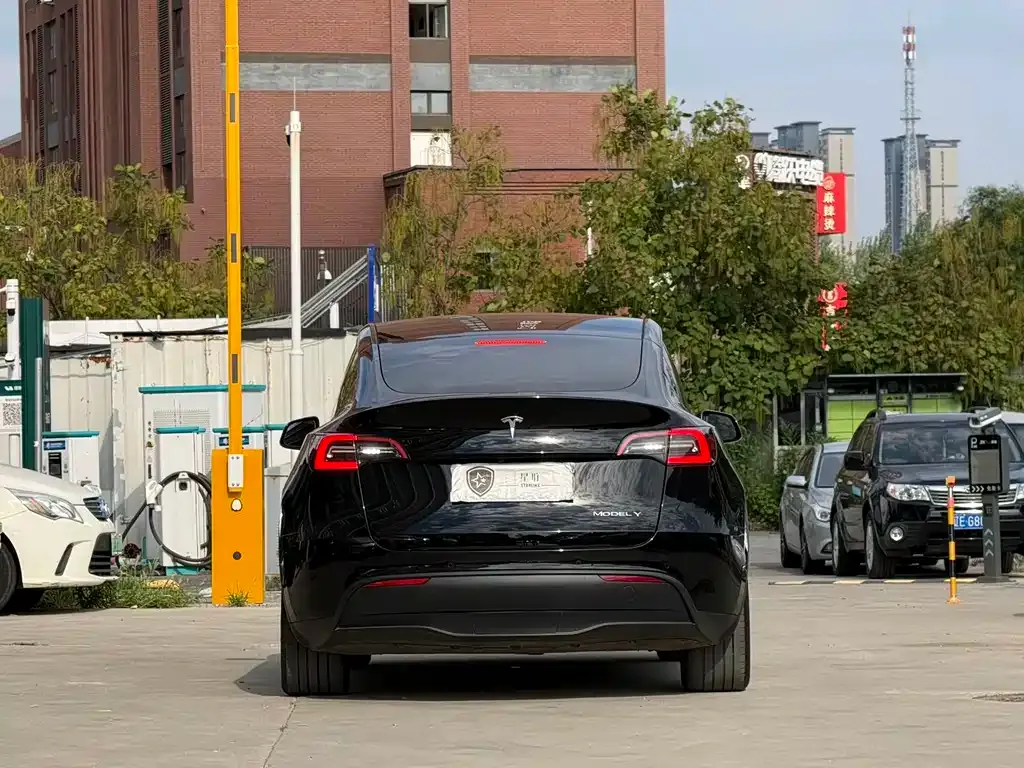 Tesla Model Y — фото 6