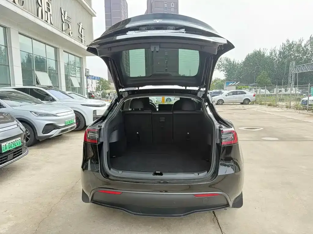 Tesla Model Y — фото 3