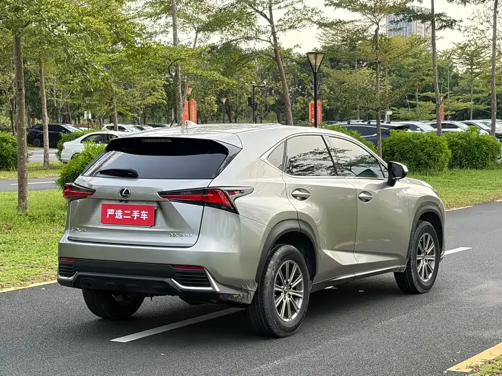 Lexus NX — фото 4