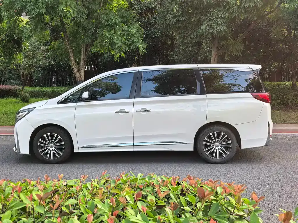 GAC Motor Trumpchi M8 — фото 10