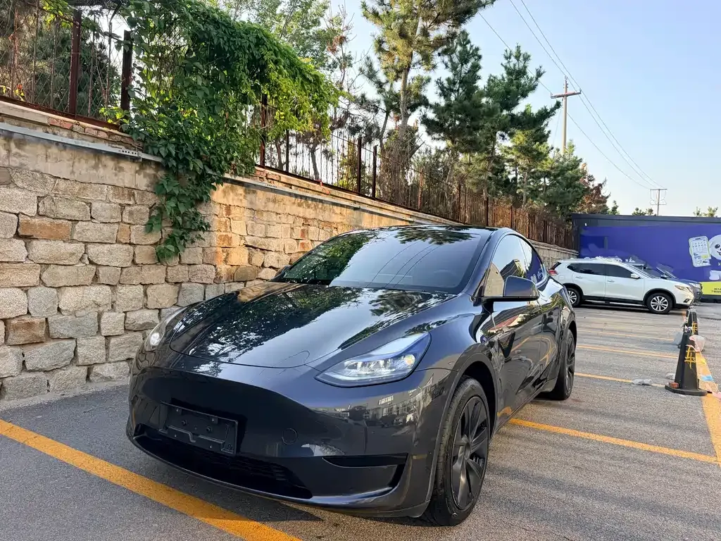Tesla Model Y — фото 1