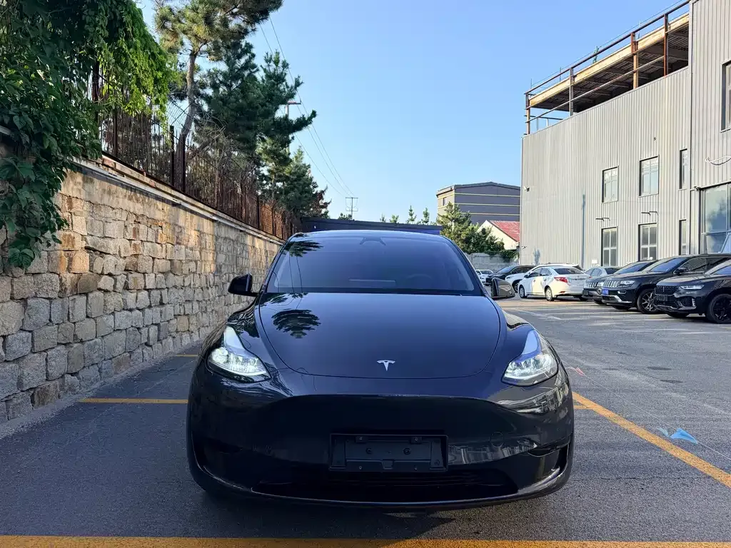 Tesla Model Y — фото 7