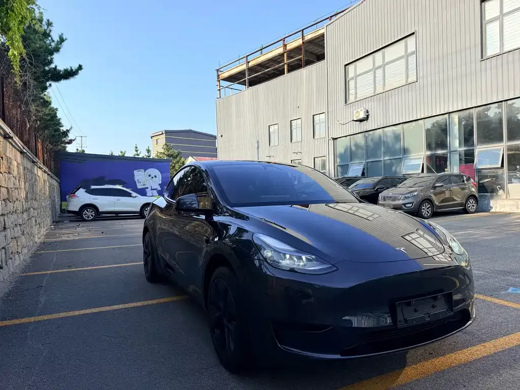 Tesla Model Y — фото 4