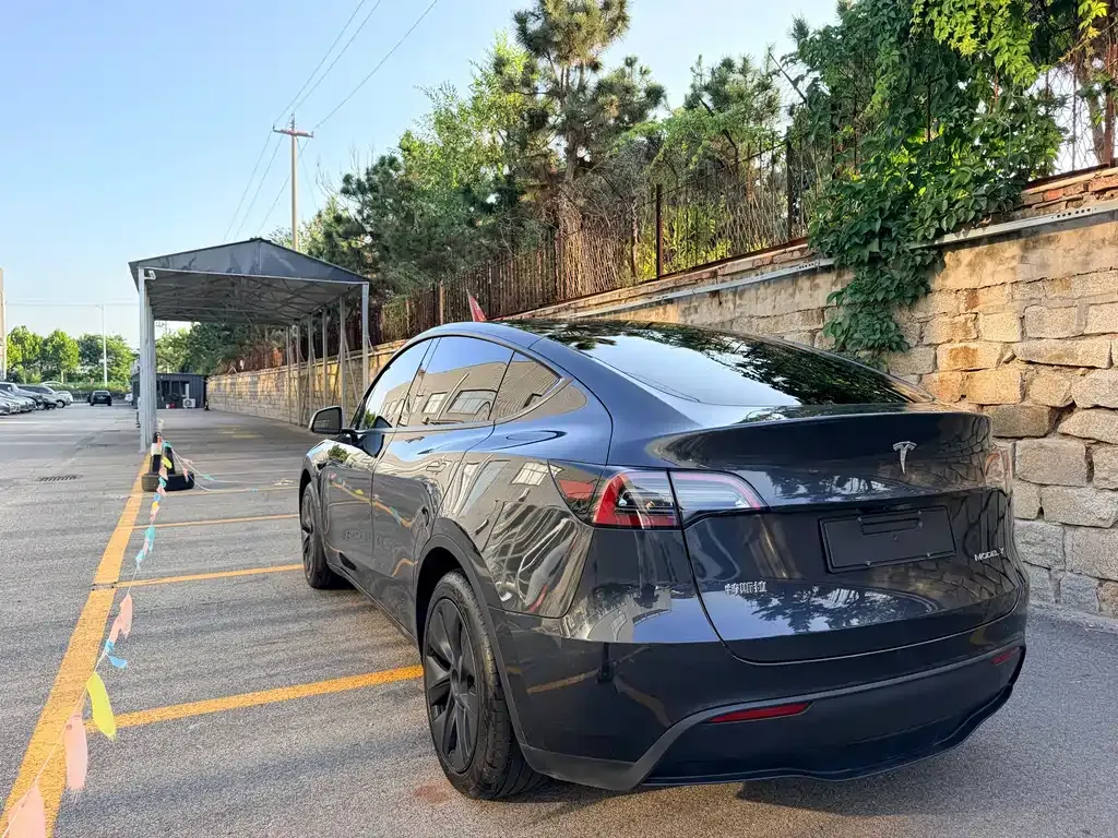 Tesla Model Y — фото 6