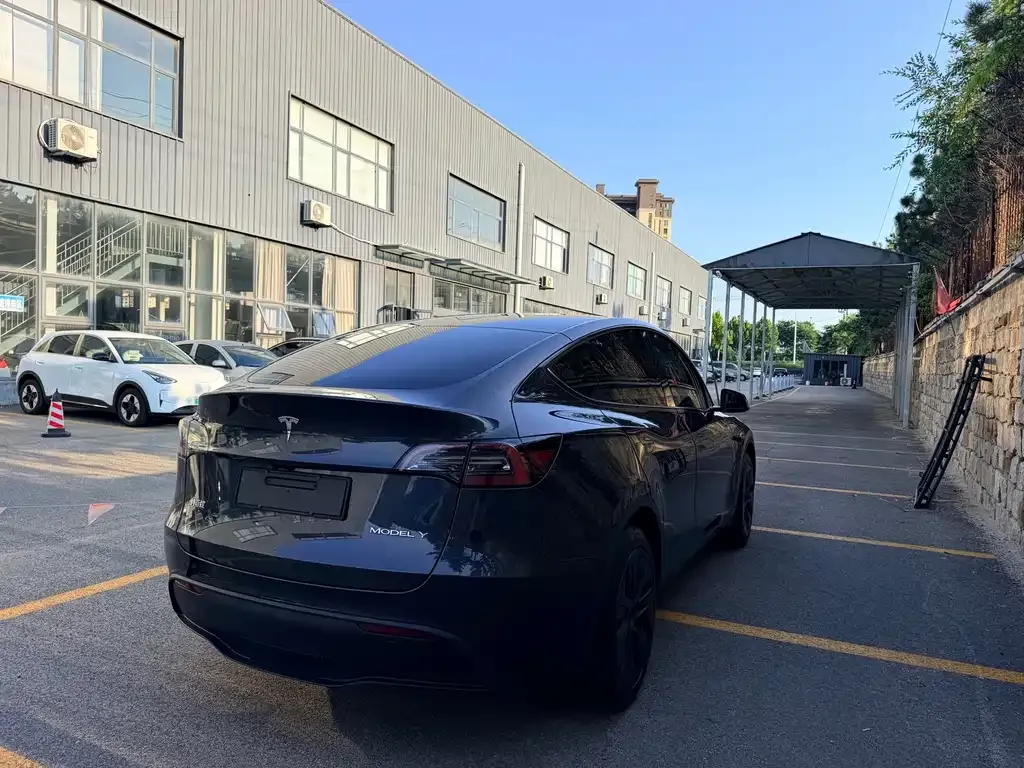Tesla Model Y — фото 8