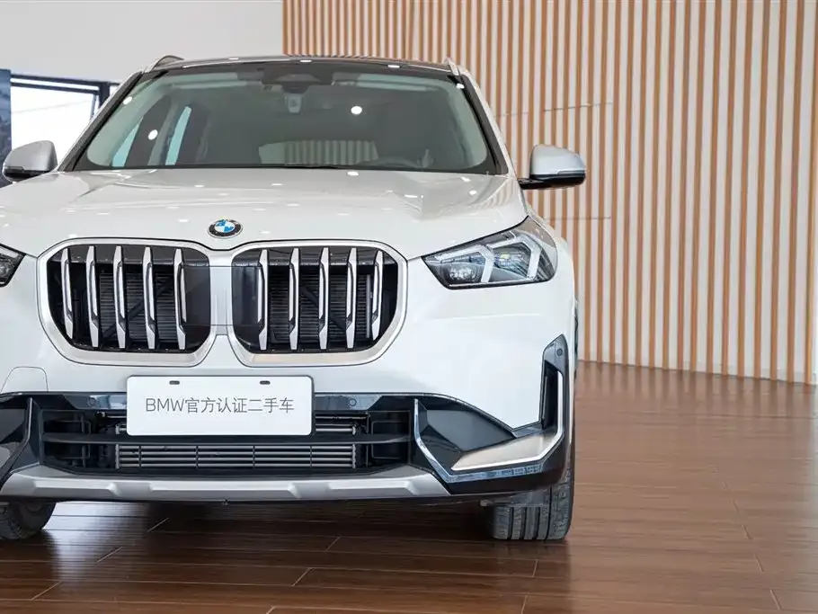 BMW X1 — фото 10