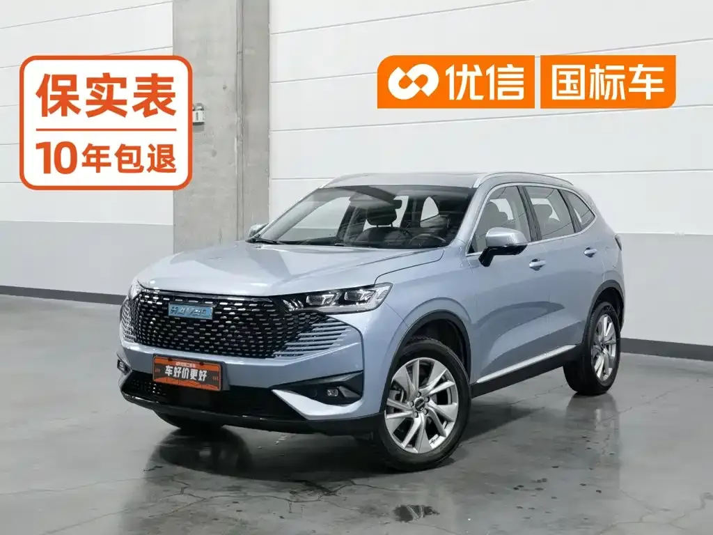 Haval H6 New Energy — фото 1