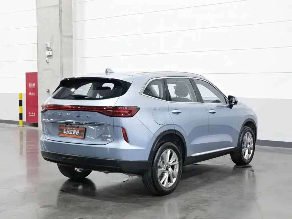 Haval H6 New Energy — фото 7