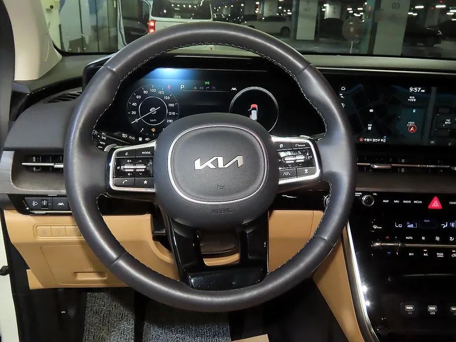 Kia Carnival — фото 10