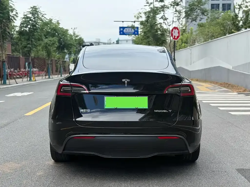 Tesla Model Y — фото 9