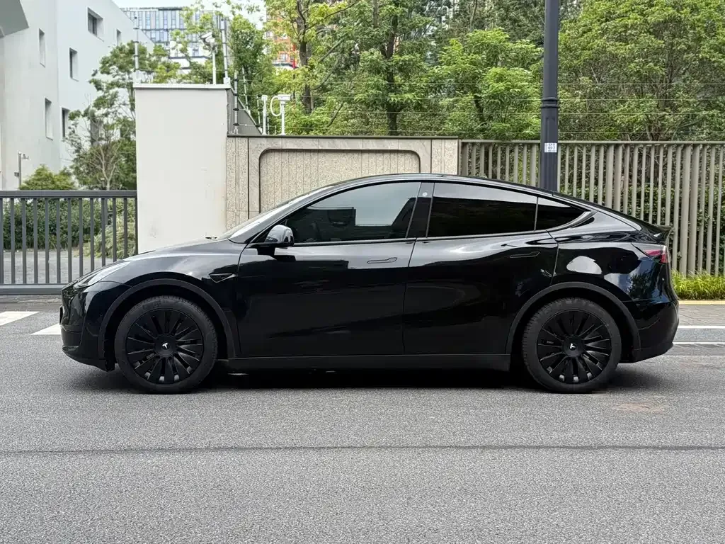 Tesla Model Y — фото 10