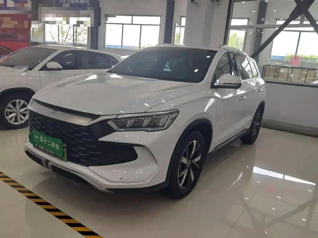 BYD Pro New Energy — фото 1