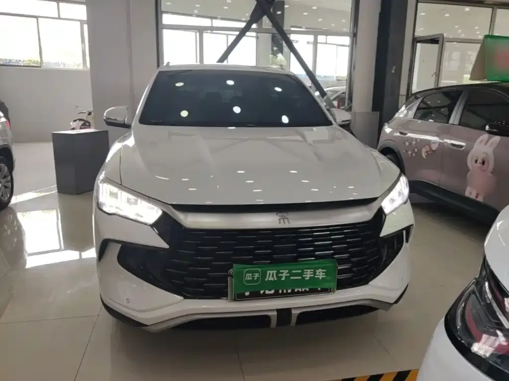 BYD Pro New Energy — фото 10