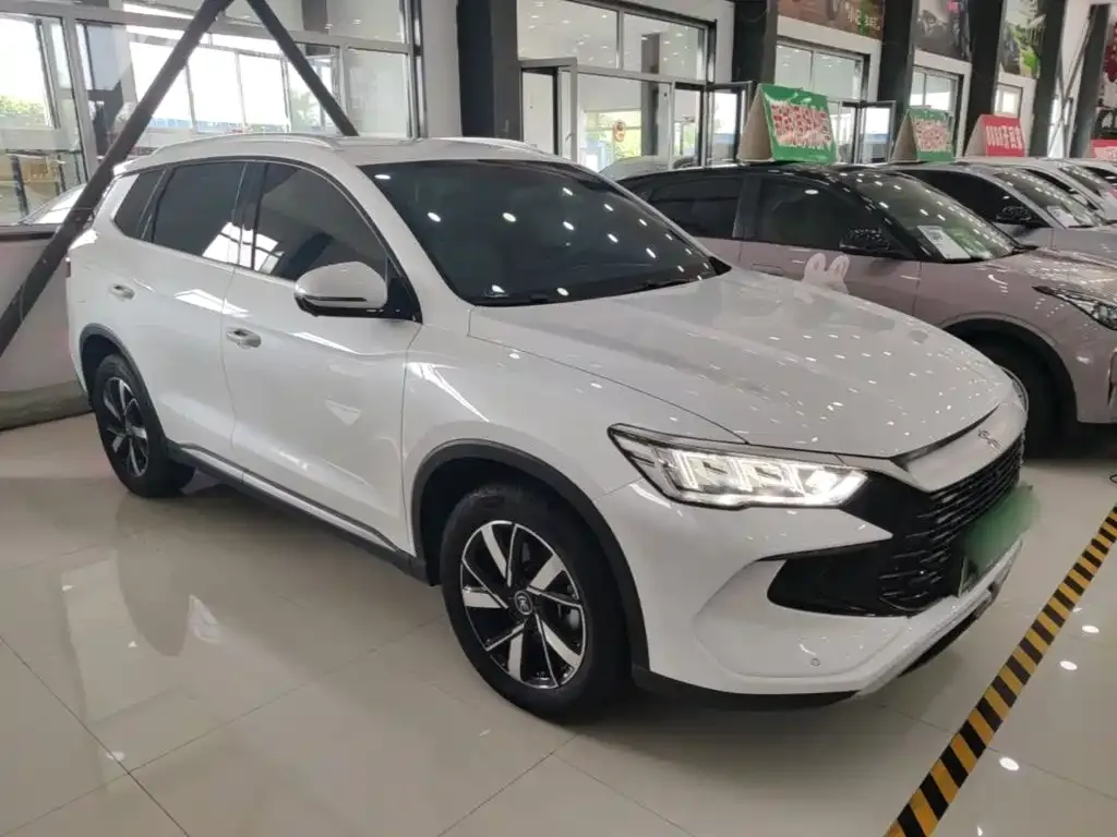 BYD Pro New Energy — фото 5