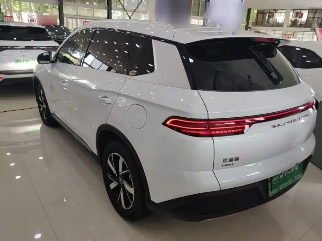 BYD Pro New Energy — фото 7