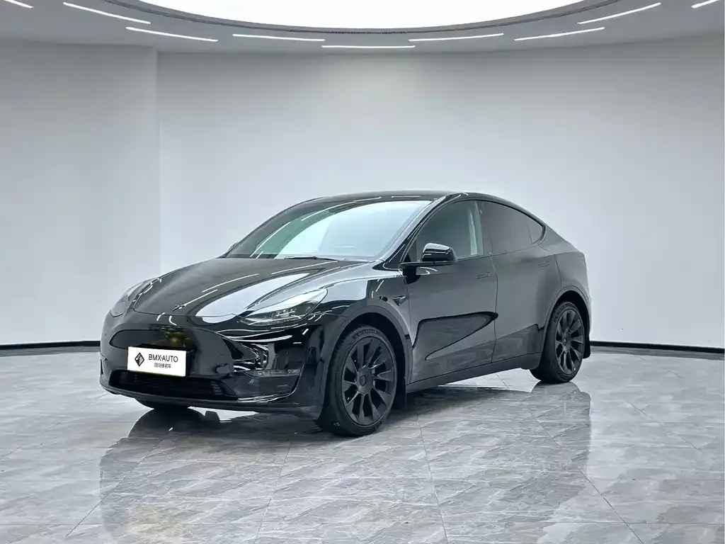 Tesla Model Y — фото 1