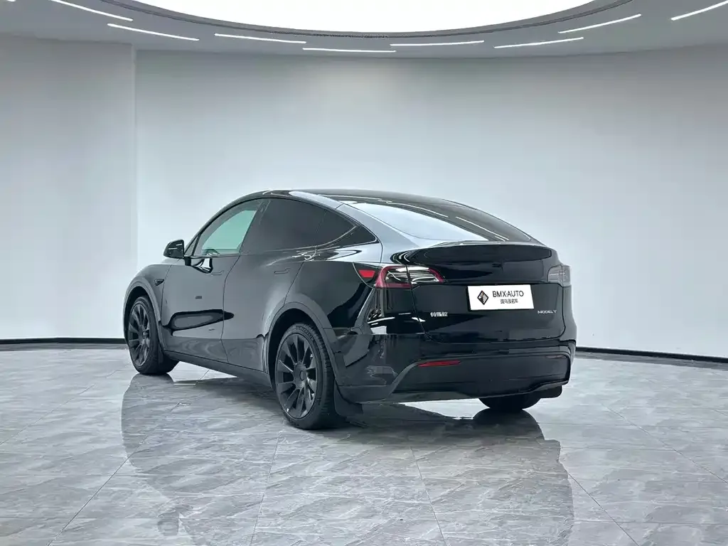 Tesla Model Y — фото 10