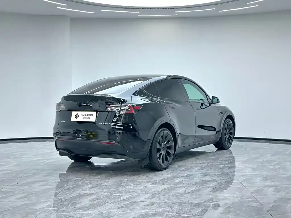 Tesla Model Y — фото 9