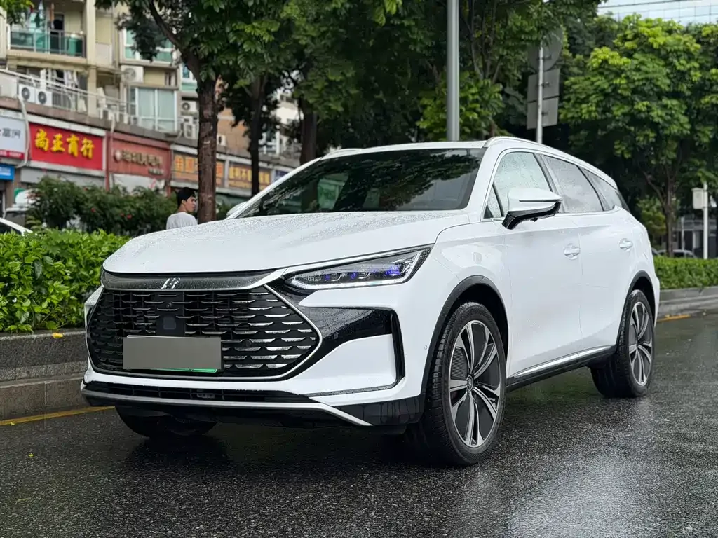 BYD Tang New Energy — фото 1