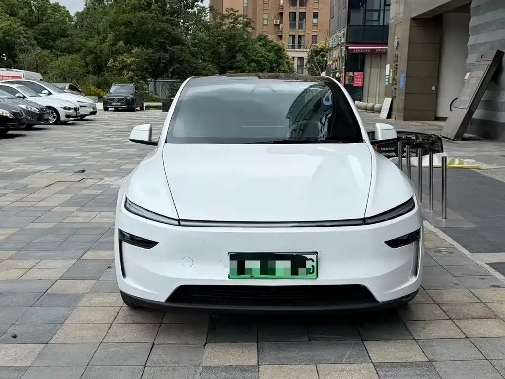 Tesla Model Y — фото 9
