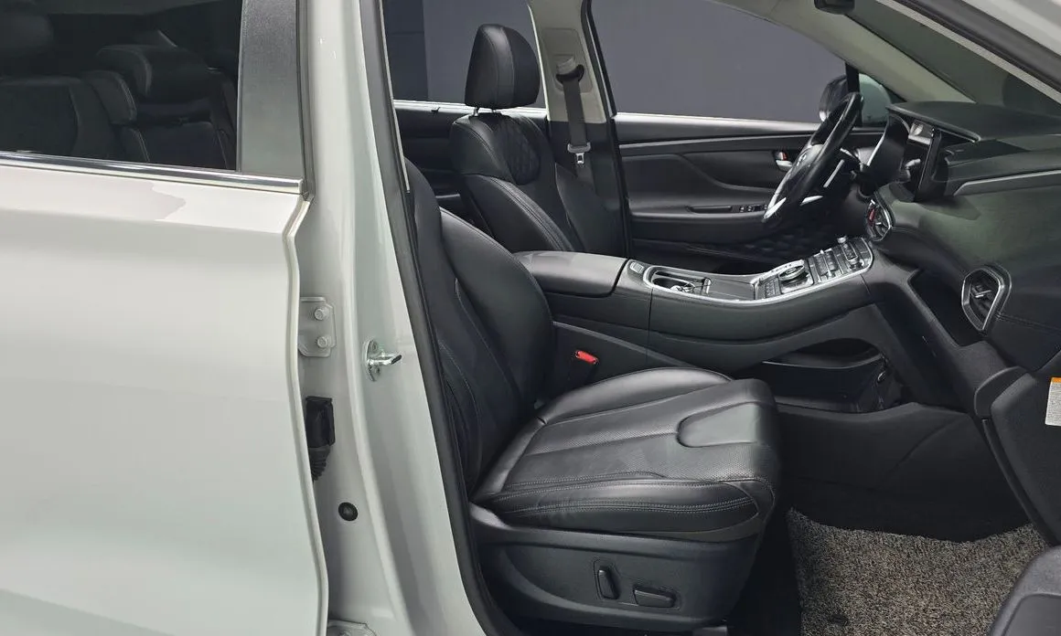 Hyundai Santafe — фото 6
