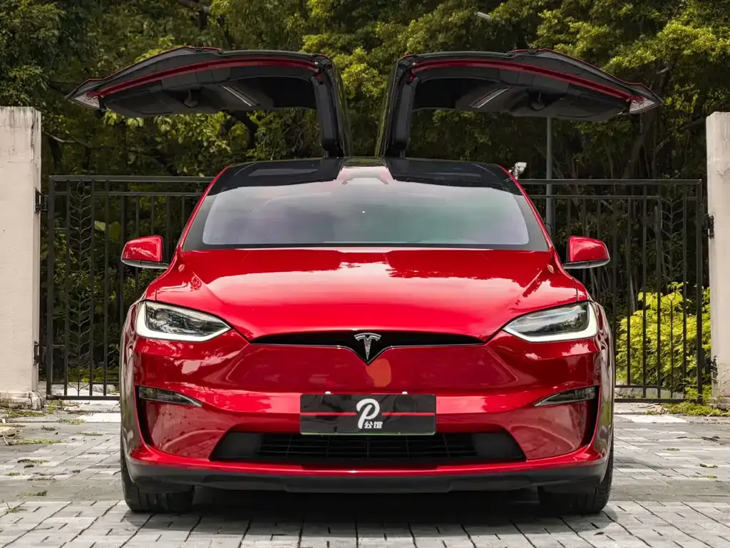 Tesla Model X — фото 2
