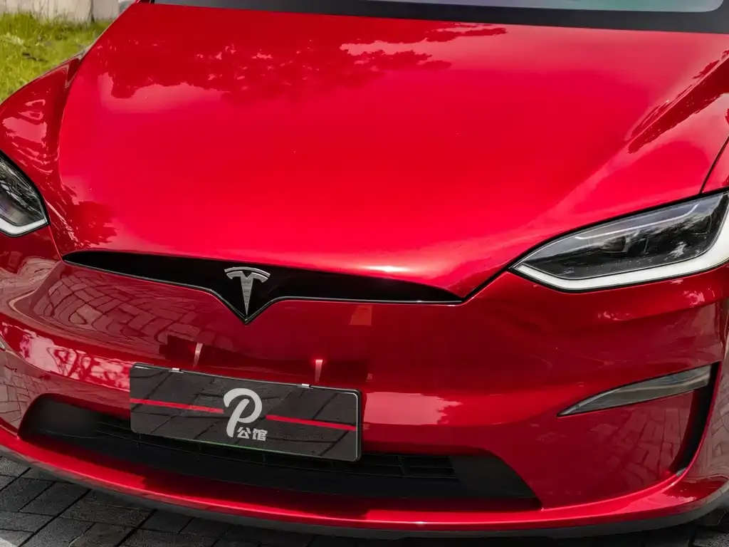 Tesla Model X — фото 9