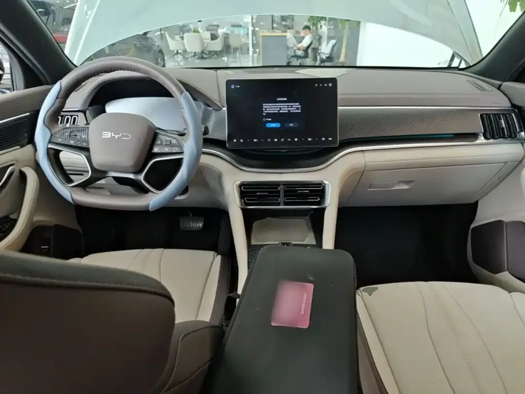 BYD PLUS New Energy — фото 8