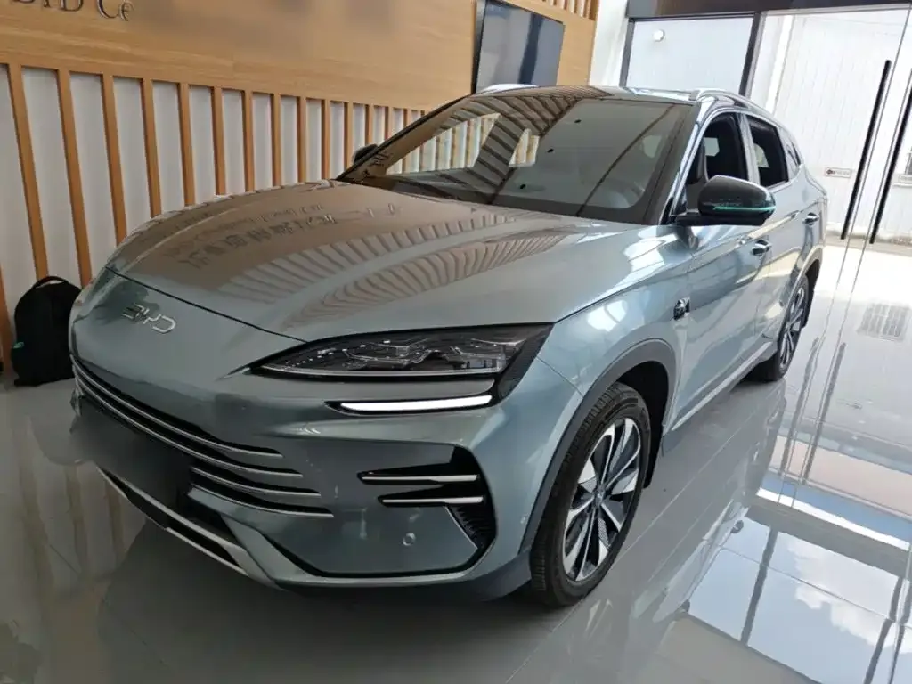 BYD PLUS New Energy — фото 6