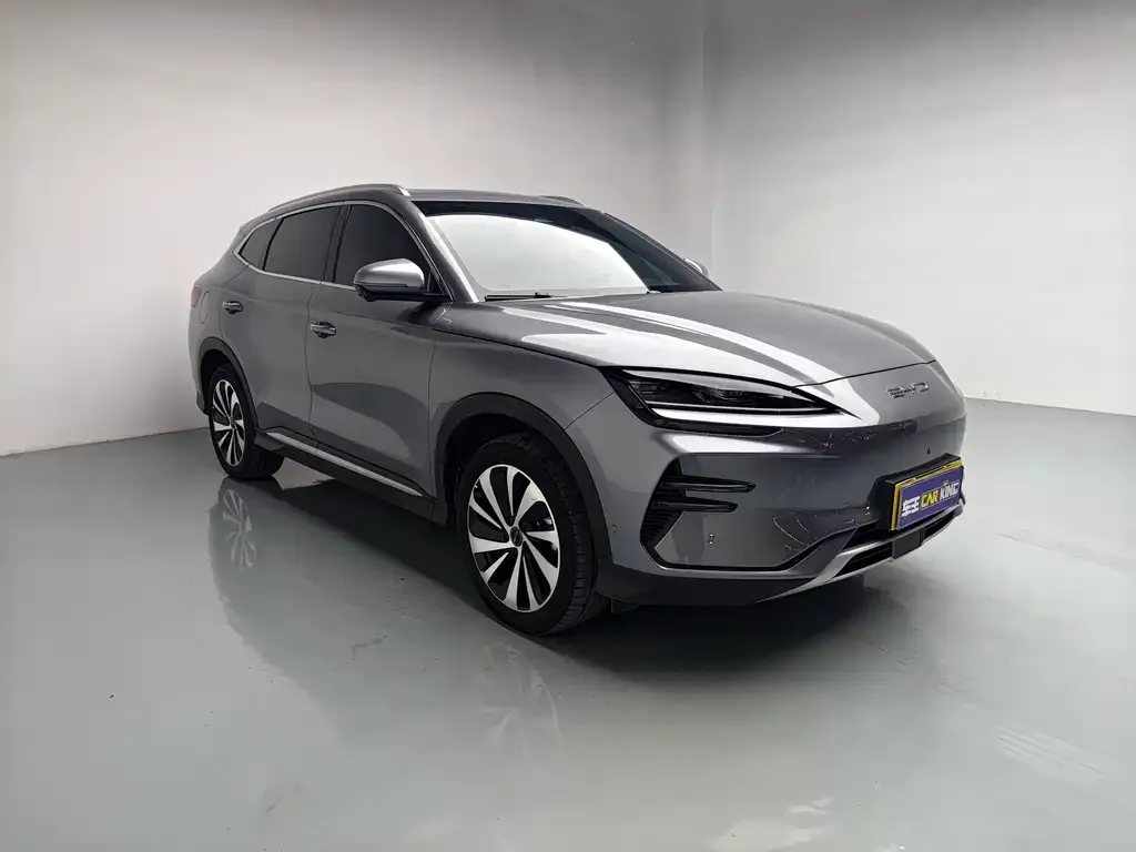 BYD PLUS New Energy — фото 4