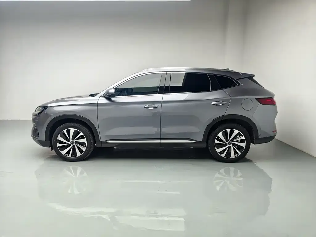 BYD PLUS New Energy — фото 2