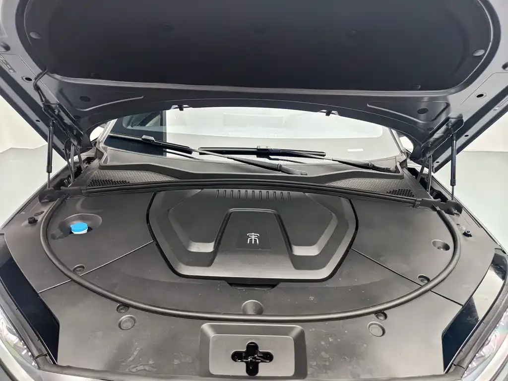 BYD PLUS New Energy — фото 10