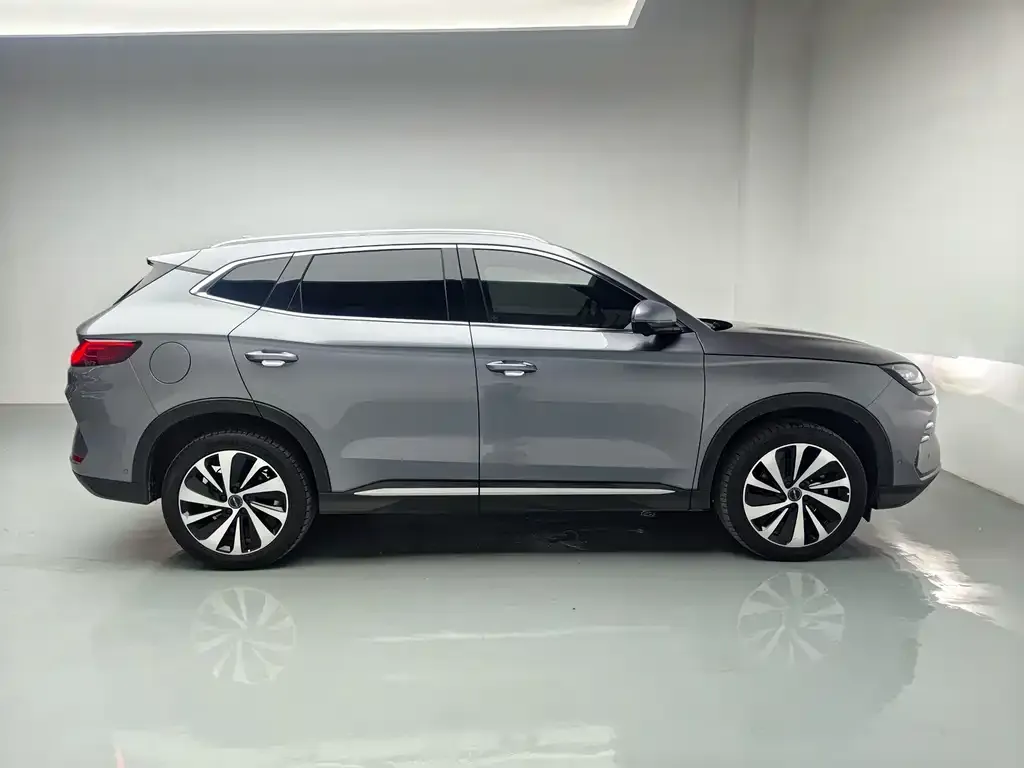 BYD PLUS New Energy — фото 3