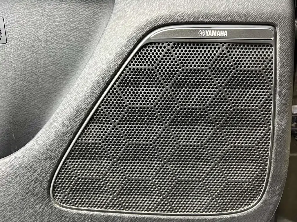 GAC Motor Trumpchi E9 — фото 10