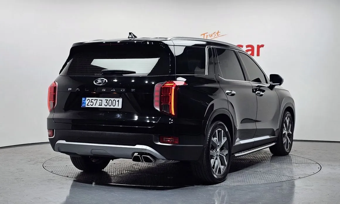 Hyundai Palisade — фото 10