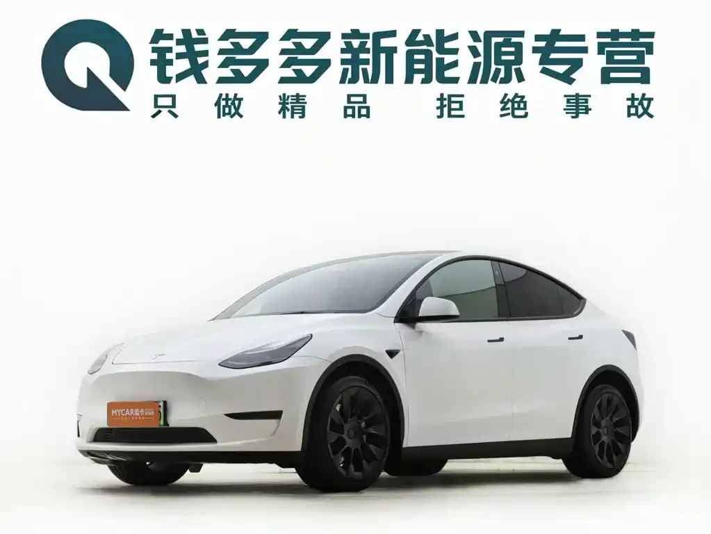 Tesla Model Y — фото 1