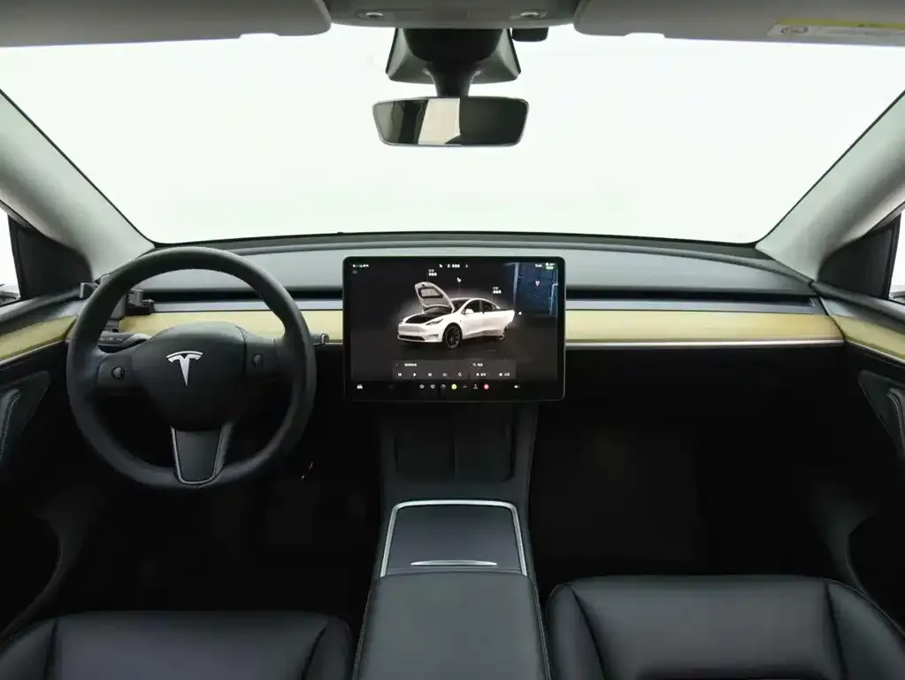 Tesla Model Y — фото 10