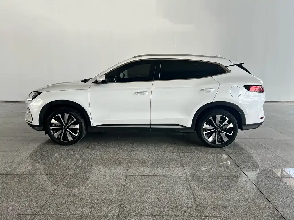 BYD PLUS New Energy — фото 4
