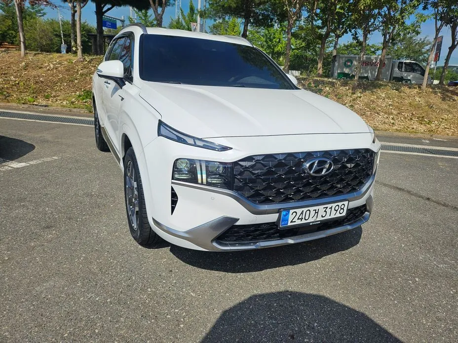 Hyundai Santafe — фото 7