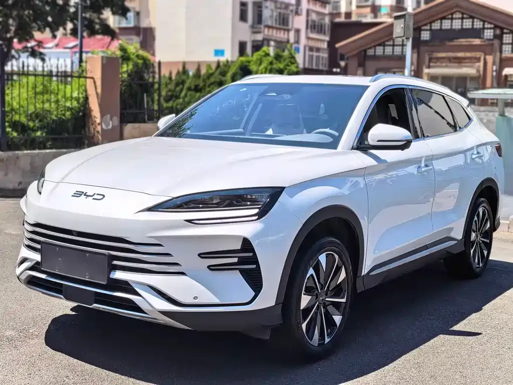 BYD PLUS New Energy — фото 1