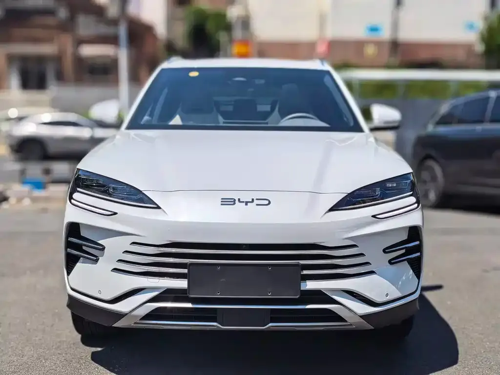BYD PLUS New Energy — фото 3