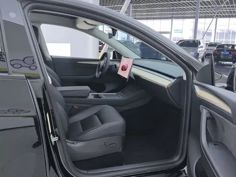 Tesla Model Y — фото 10