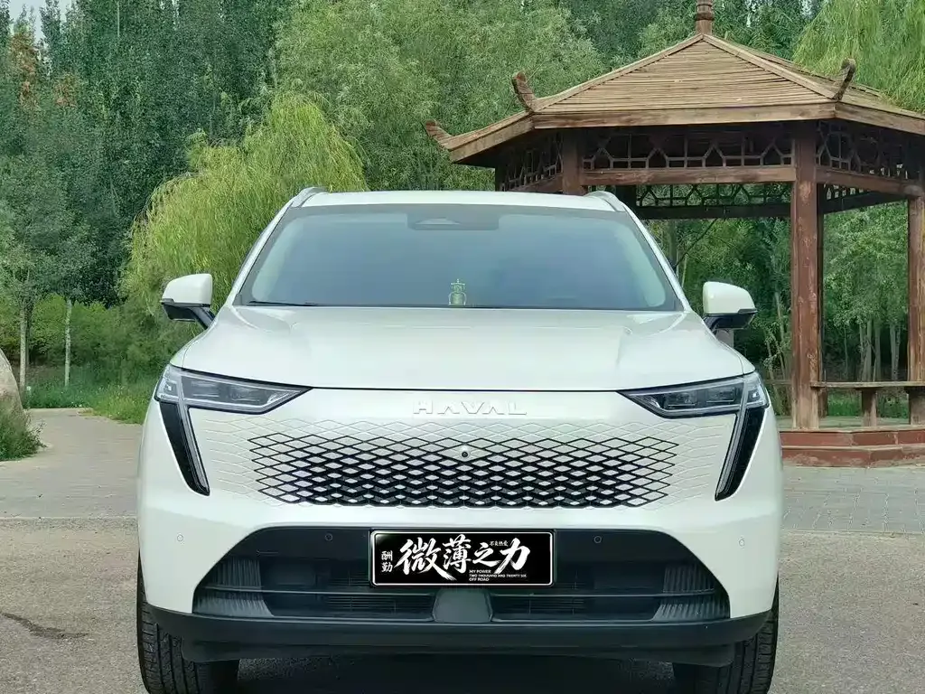 Haval Xiaolong MAX — фото 8