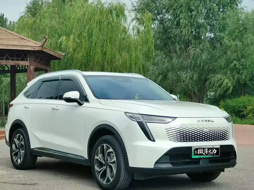 Haval Xiaolong MAX — фото 5