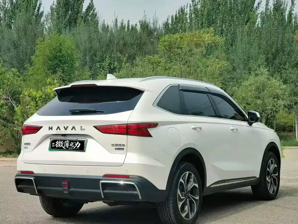 Haval Xiaolong MAX — фото 7