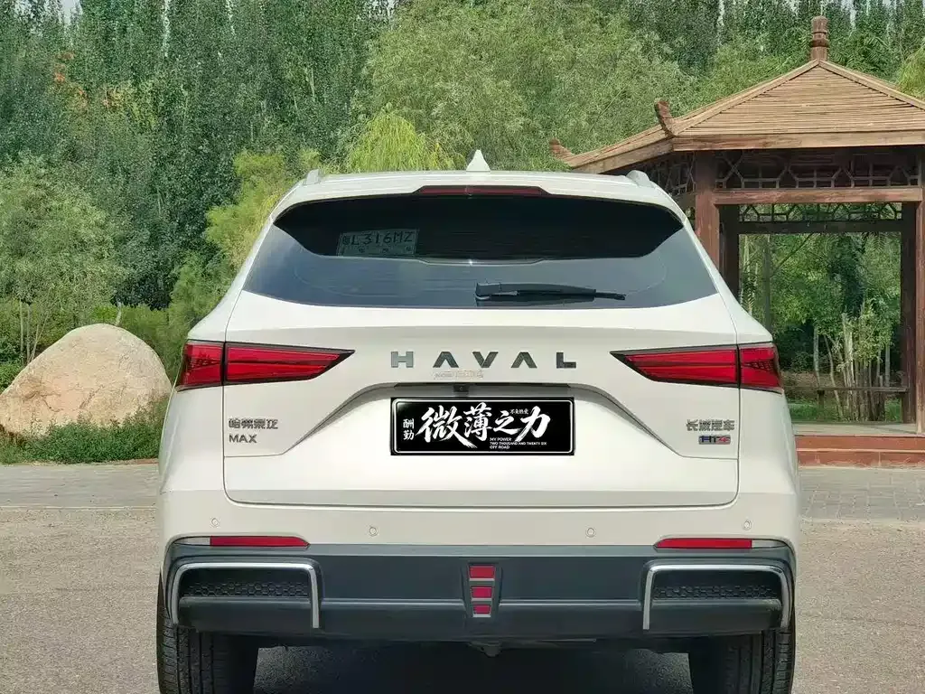Haval Xiaolong MAX — фото 6