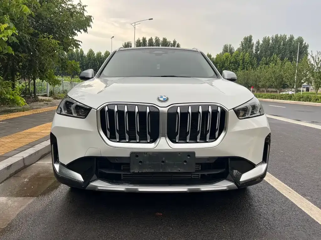 BMW X1 — фото 9